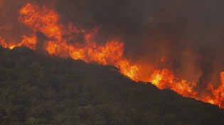 ARCHIV - Flammen verbrennen einen Wald während eines Waldbrandes in der Nähe des Dorfes Sykorrahi. Foto: Achilleas Chiras/AP/dpa